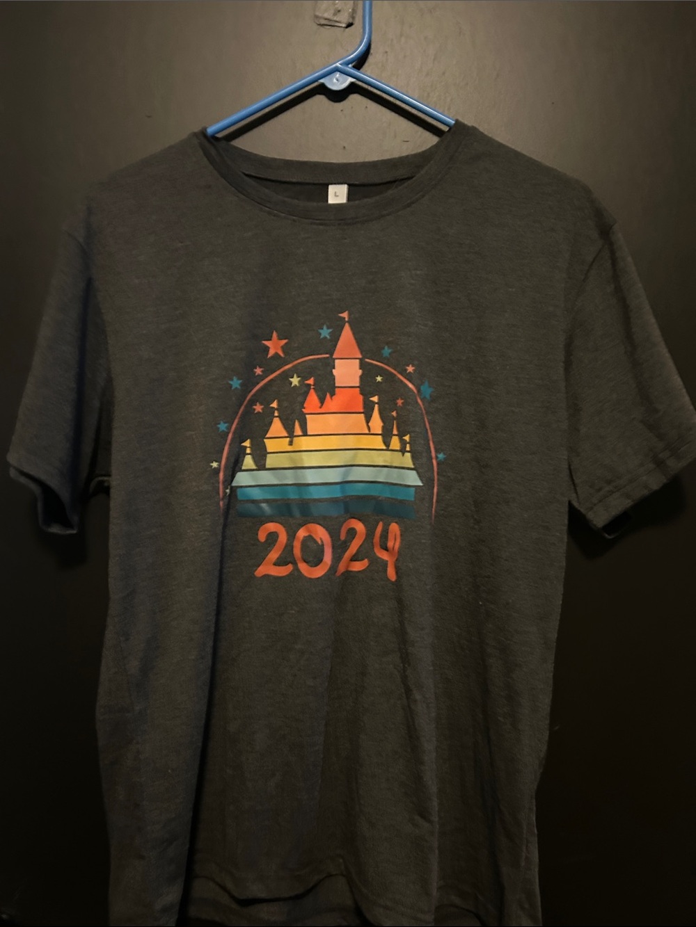 Disney 2024 Castle Graphic Tee in Charcoal with Rainbow Accent
